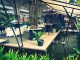 Bersantai di Kafe Melcosh Kaliurang