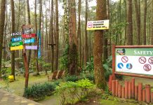 Kopeng Treetop Adventure Park, Ajak Keluarga Wisata Tantangan