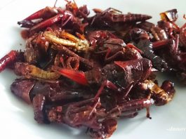 Walang Goreng Gunung Kidul, Kuliner Lezat Bukan Kepalang