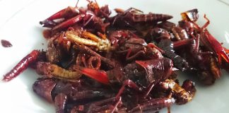 Walang Goreng Gunung Kidul, Kuliner Lezat Bukan Kepalang